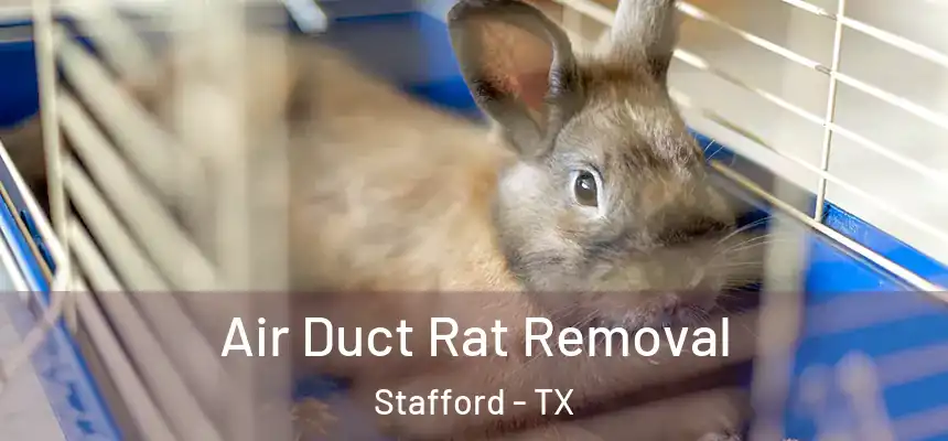 Air Duct Rat Removal Stafford - TX