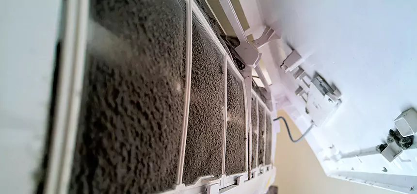 Preventive Air Duct Bacteria Removal in Stafford