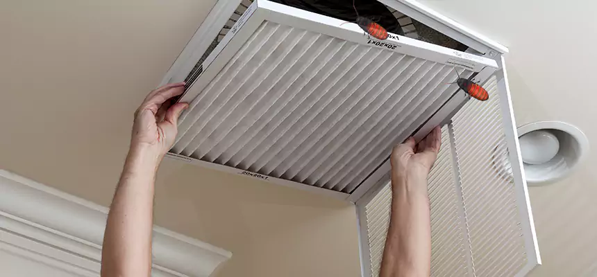Preventive Cockroach-Proofing for Ducts in Stafford