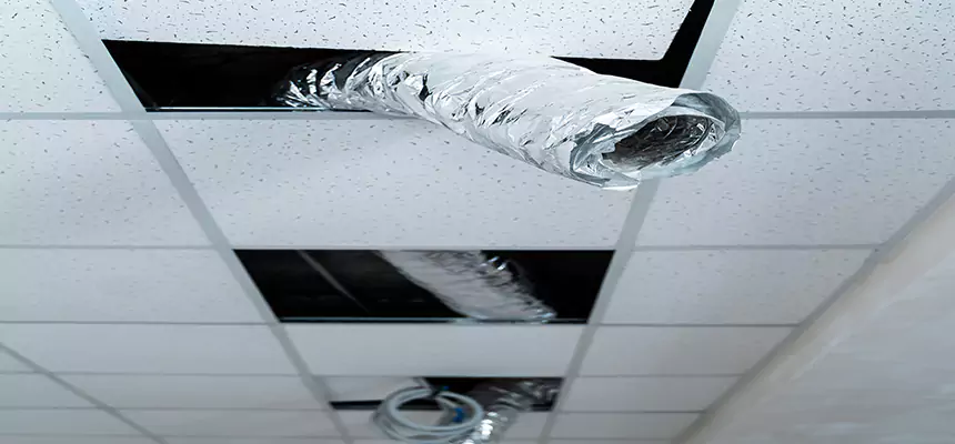 Our Air Duct Pet Hair Removal Services in Stafford, TX