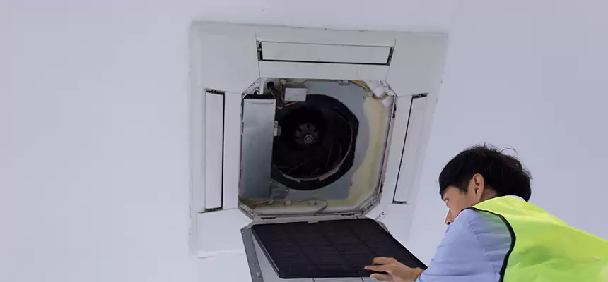 Our Dryer Vent Sanitization Service Services in Stafford, TX