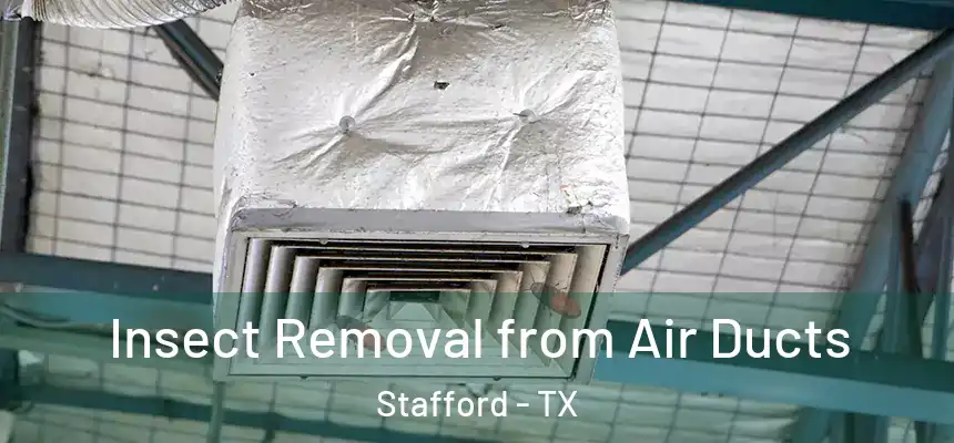 Insect Removal from Air Ducts Stafford - TX