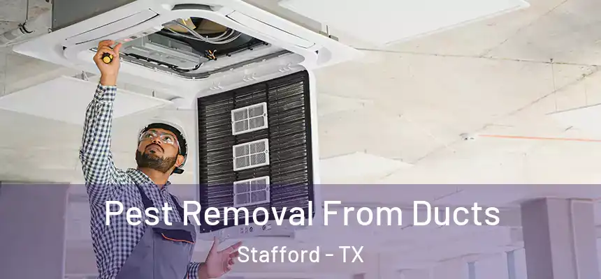  Pest Removal From Ducts Stafford - TX
