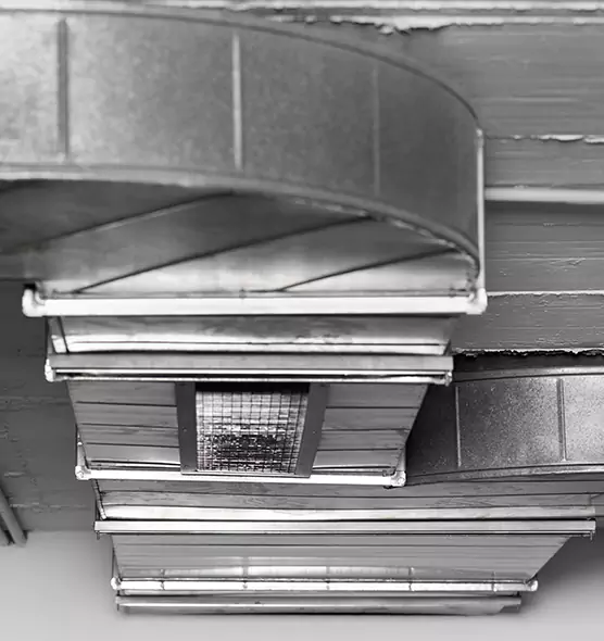 Professional Air Duct Pet Hair Removal in Stafford, TX