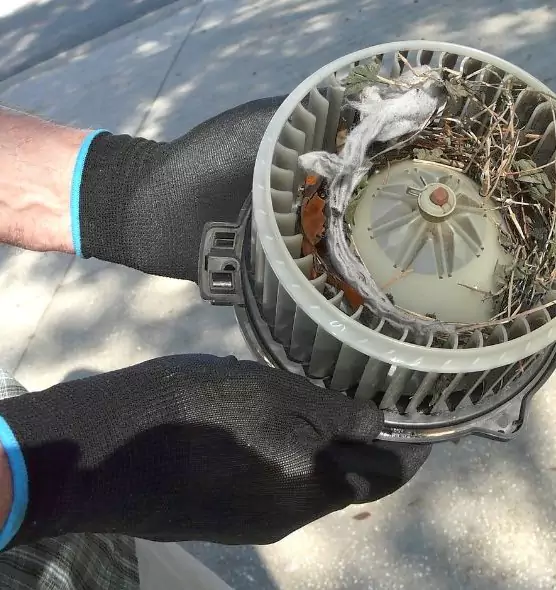 About Air Duct Rat Removal in Stafford, TX