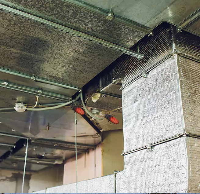 Why Homeowners & Businesses Trust Us in Stafford, TX?