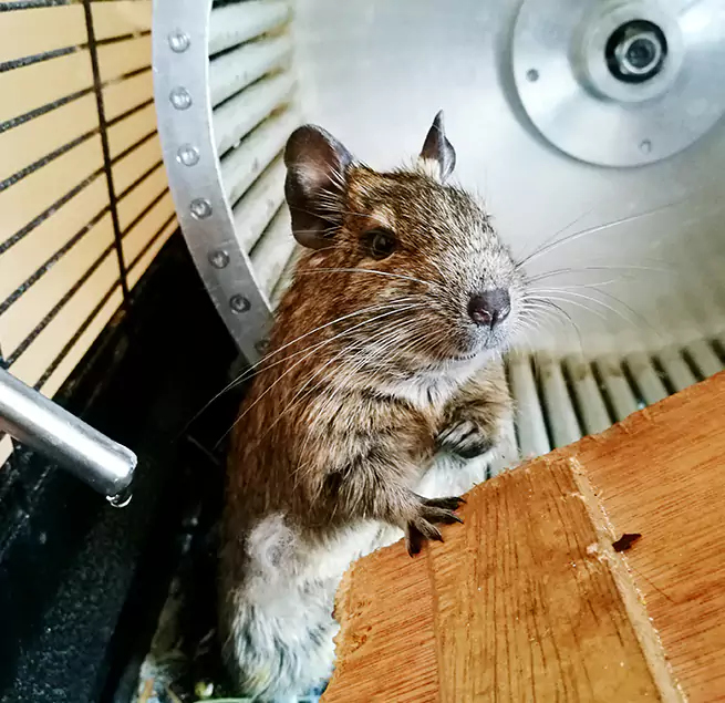 Why Homeowners & Businesses Trust Us Stafford, TX