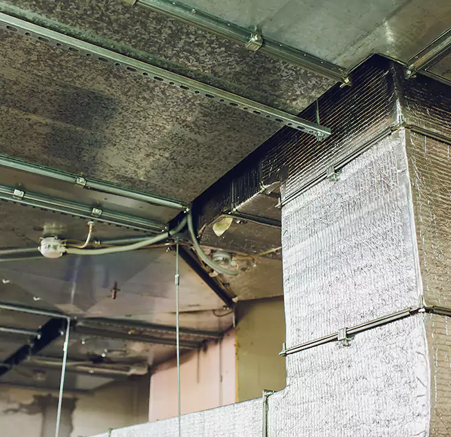 Why Homeowners & Businesses Trust Us in Stafford, TX?